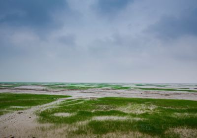 杭州湾国家湿地公園