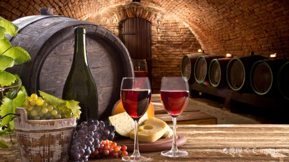 Napa Valley Wine Tasting Day Tour