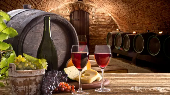 Napa Valley Wine Tasting Day Tour