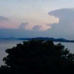 tawaNN ảnh của người dùng
