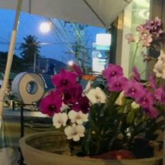 Cafe 69張用戶圖片