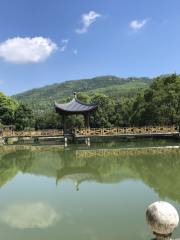 Lvyuan Rare Botanical Garden