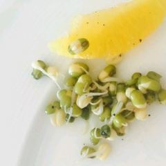 NYC - Radisson Blu Plaza Delhi張用戶圖片