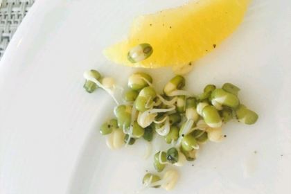 NYC - Radisson Blu Plaza Delhi