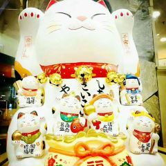Zhaojiqingshuizhihun 여행 사진