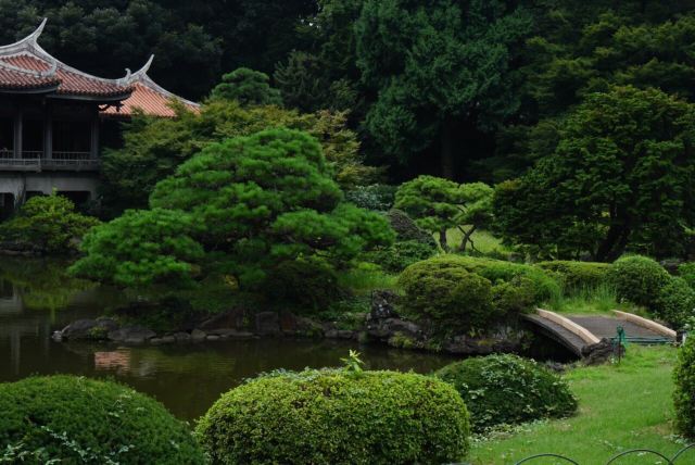 Shinjuku Gyoen National Garden Attractions Tokyo Travel Review Travel Guide Trip Com