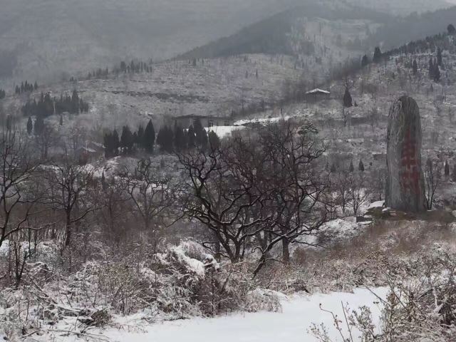 Jiulongyu