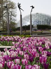 Jardín Botánico de Misuri