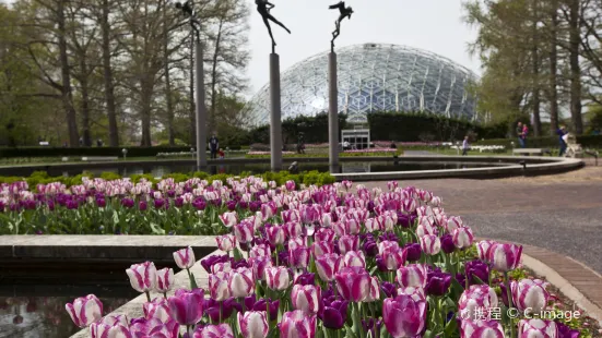 ミズーリ植物園