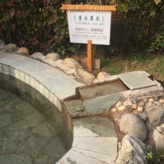 霸州茗汤日月潭温泉会馆·中餐厅 여행 사진
