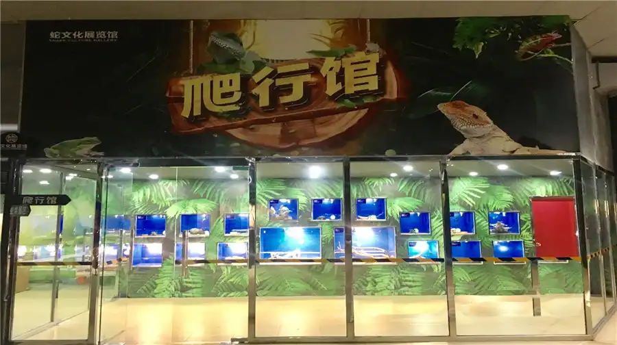 Hotels near She Culture Exhibition hall