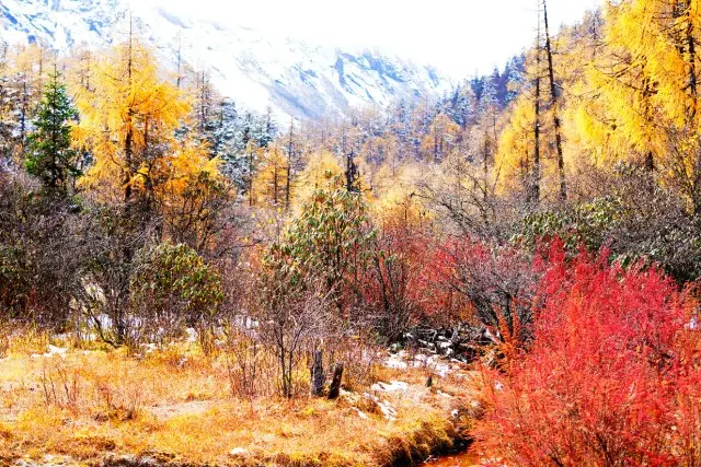 Fall Leaves Viewing in Li County
