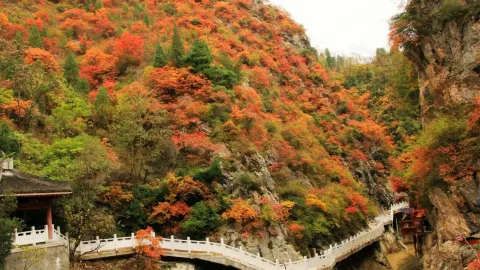 Xixiasong Scenic Area attraction in Gansu