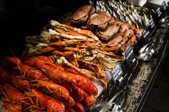 【Special offer! Special offer! 】JW Marriott Celebrity Chef Urban Buffet at Galaxy Hotel Macau (Lunch Buffet/Dinner Buffet)