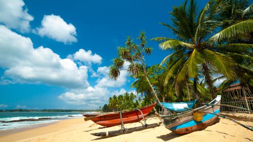 Negombo Beach