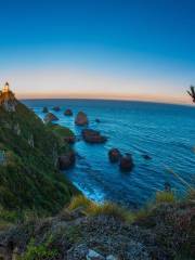 Kaka Point Scenic View Point & Picnic Area