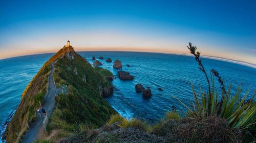 Kaka Point Scenic View Point & Picnic Area