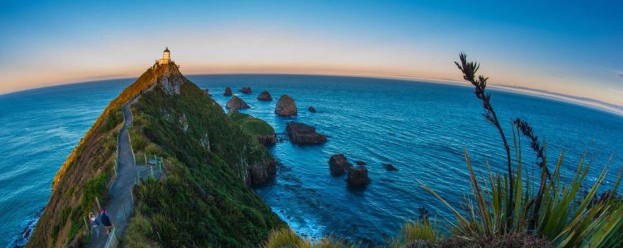 Kaka Point Scenic View Point & Picnic Area