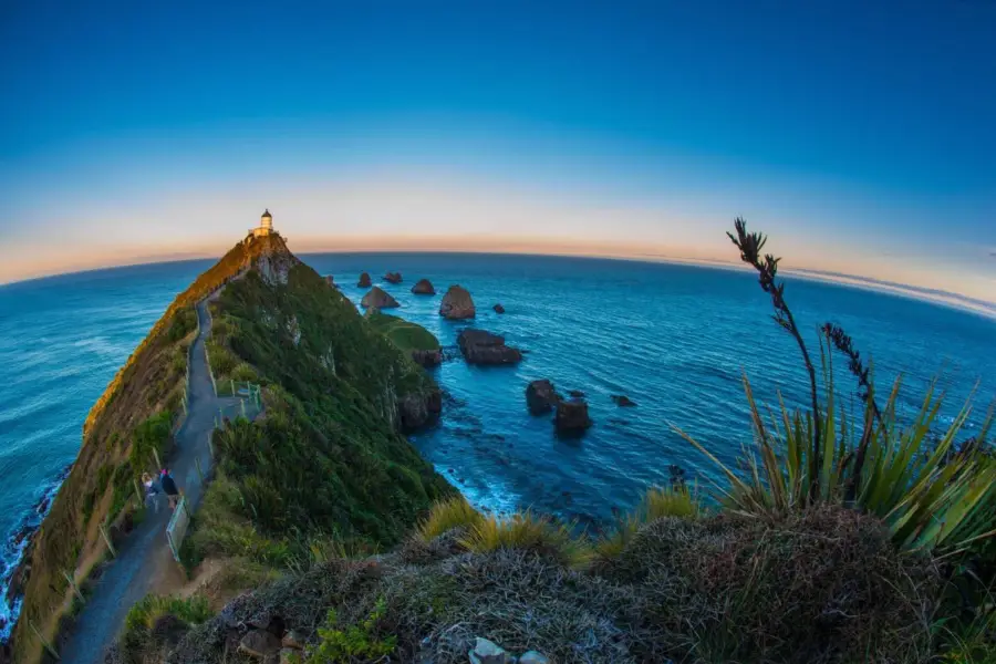 Kaka Point Scenic View Point & Picnic Area