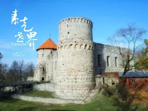 Цесисский средневековый замок
