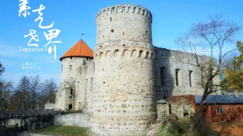 Cēsis Medieval Castle