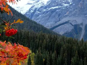 Yoho National Park Of Canada