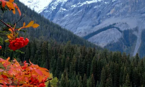 Yoho National Park Of Canada