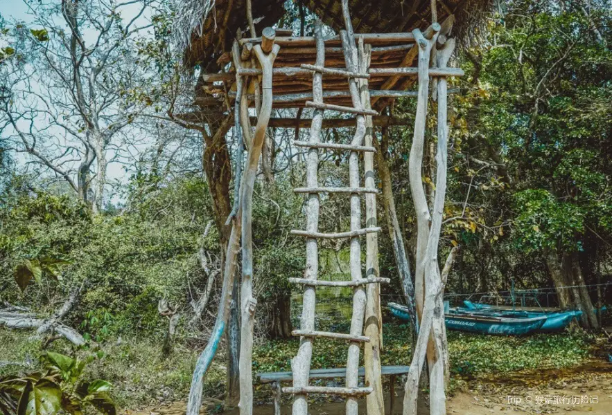 Ritigala Forest Monastery