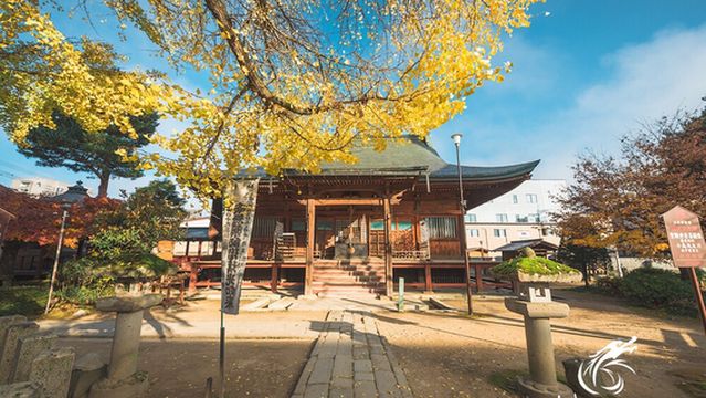 ฮิดะ ทะคะยะมะ