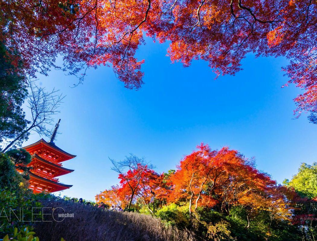 Higashiyama
