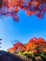 Kiyomizu-dera Temple