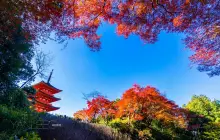 Kiyomizu-dera Temple