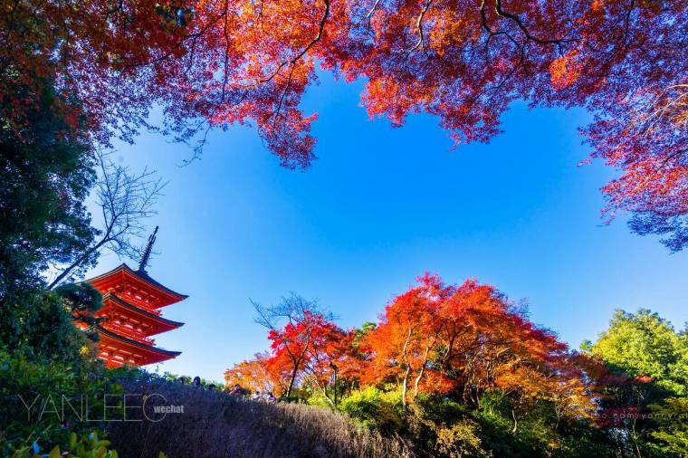วัด Kiyomizu-dera