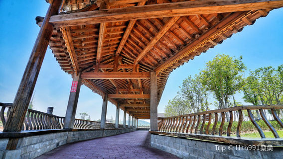 Households in Poetry Town