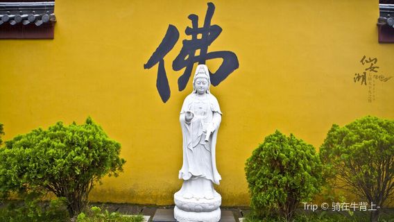 Xinyu