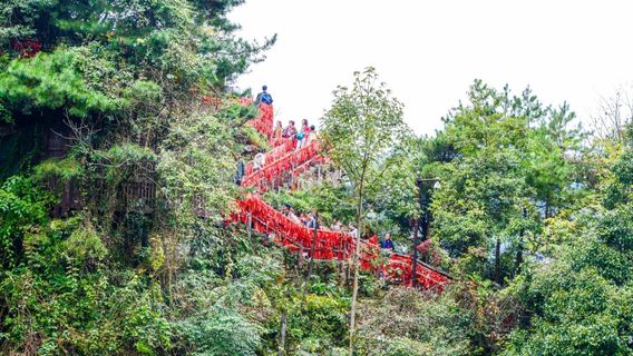 ZhangjiajieTours