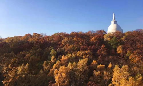 모이와 산
