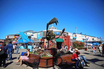 Fisherman's Wharf and Pier 39, San Francisco - Times of India Travel