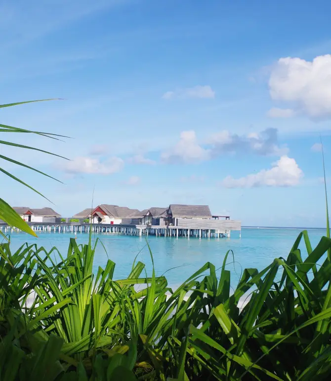 Olhuveli