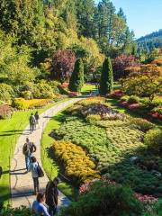 The Butchart Gardens