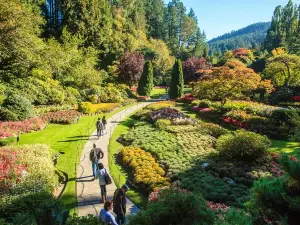 The Butchart Gardens