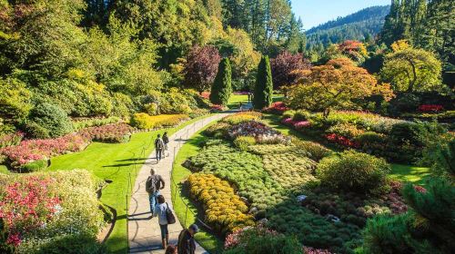 The Butchart Gardens