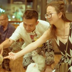 Cat 'n' A Cup Cat Cafe張用戶圖片