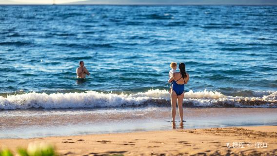 夏威夷茂宜島一日遊【含來回+Waikiki區域飯店接送】