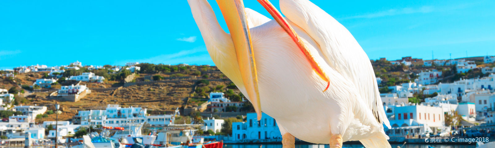 그리스이색 체험