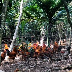 Lumen Farm Family Resort User Photo