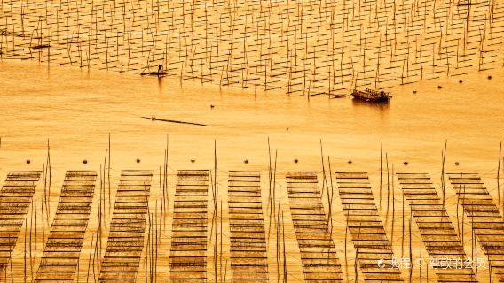 Xiapu Mudflats