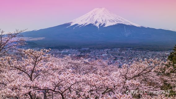 山梨市日遊
