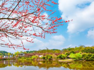 重慶日帰り旅行プラン