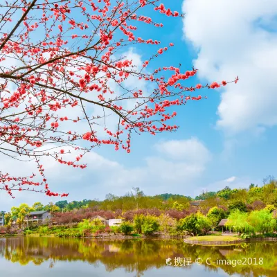 Chongqingdianxin Museum 주변 호텔